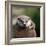 Oriental Small-clawed Otter-Linda Wright-Framed Premium Photographic Print