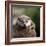 Oriental Small-clawed Otter-Linda Wright-Framed Premium Photographic Print