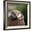 Oriental Small-clawed Otter-Linda Wright-Framed Premium Photographic Print