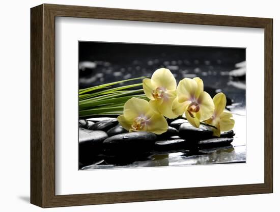 Oriental Spa with Orchid and Bottles with Essential Oil and Palm Leaf-crystalfoto-Framed Photographic Print