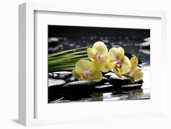 Oriental Spa with Orchid and Bottles with Essential Oil and Palm Leaf-crystalfoto-Framed Photographic Print