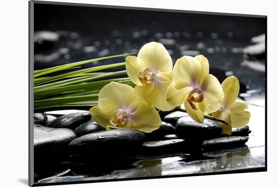 Oriental Spa with Orchid and Bottles with Essential Oil and Palm Leaf-crystalfoto-Mounted Photographic Print