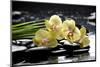 Oriental Spa with Orchid and Bottles with Essential Oil and Palm Leaf-crystalfoto-Mounted Photographic Print
