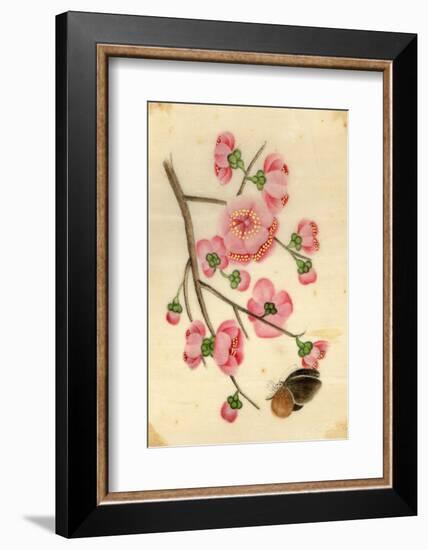 Oriental Style Depiction of Pink Cherry Blossom Showing the Branch Buds and Open Flowers-null-Framed Photographic Print