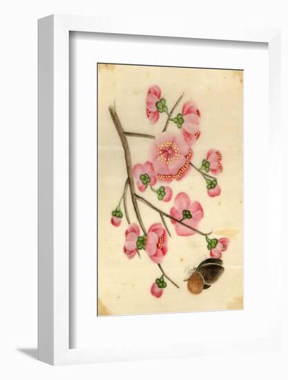 Oriental Style Depiction of Pink Cherry Blossom Showing the Branch Buds and Open Flowers-null-Framed Photographic Print