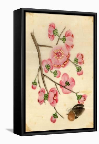 Oriental Style Depiction of Pink Cherry Blossom Showing the Branch Buds and Open Flowers-null-Framed Premier Image Canvas