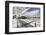 Oriente railway station, Santiago Calatrava architect, Lisbon, Portugal, Europe-Markus Lange-Framed Photographic Print