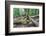 Original Deciduous Forest, Triebtal, Vogtland, Saxony, Germany-Falk Hermann-Framed Photographic Print