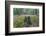 Original Deciduous Forest, Triebtal, Vogtland, Saxony, Germany-Falk Hermann-Framed Photographic Print