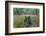 Original Deciduous Forest, Triebtal, Vogtland, Saxony, Germany-Falk Hermann-Framed Photographic Print