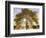 Origine-Viviane Fedieu Daniel-Framed Photographic Print