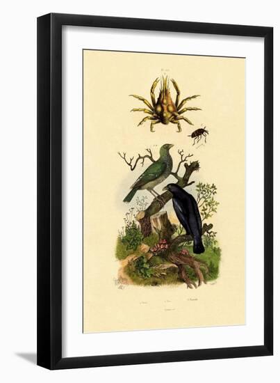 Oriol, 1833-39-null-Framed Giclee Print