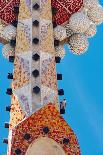 Peragrine falcon perched on top of skyscraper, Spain-Oriol Alamany-Photographic Print