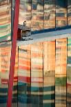 Peregrine falcon in flight, Port of Barcelona, Spain-Oriol Alamany-Photographic Print