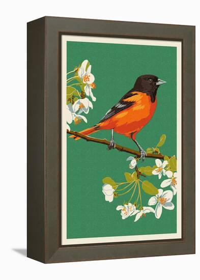 Oriole and Blossoms-Lantern Press-Framed Stretched Canvas