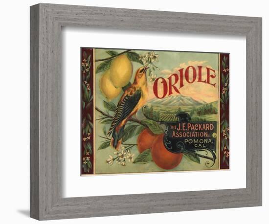 Oriole Brand - Pomona, California - Citrus Crate Label-Lantern Press-Framed Premium Giclee Print