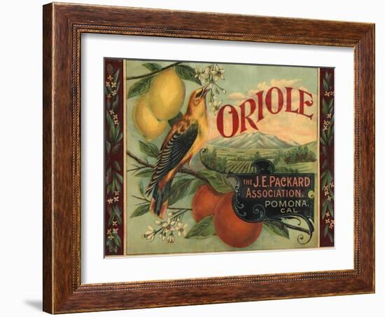 Oriole Brand - Pomona, California - Citrus Crate Label-Lantern Press-Framed Art Print