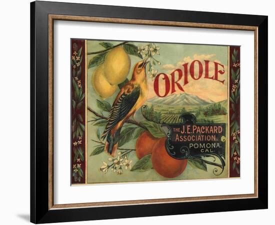 Oriole Brand - Pomona, California - Citrus Crate Label-Lantern Press-Framed Art Print