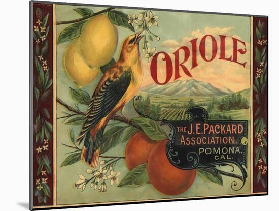 Oriole Brand - Pomona, California - Citrus Crate Label-Lantern Press-Mounted Art Print