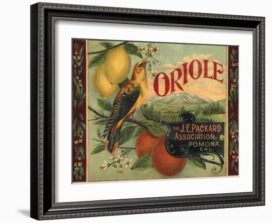 Oriole Brand - Pomona, California - Citrus Crate Label-Lantern Press-Framed Art Print