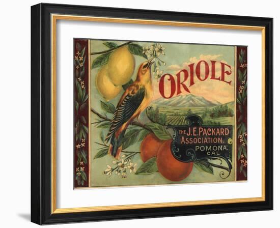 Oriole Brand - Pomona, California - Citrus Crate Label-Lantern Press-Framed Art Print