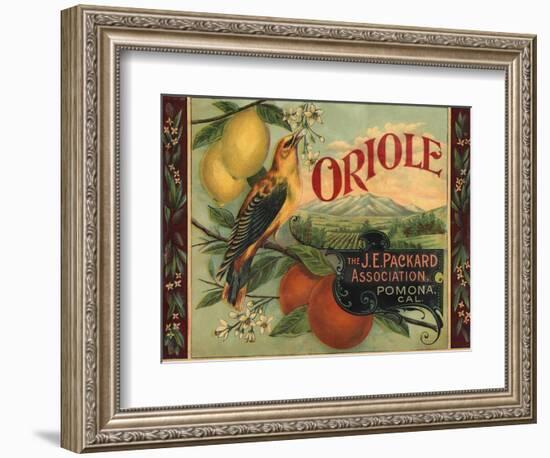 Oriole Brand - Pomona, California - Citrus Crate Label-Lantern Press-Framed Art Print