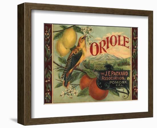 Oriole Brand - Pomona, California - Citrus Crate Label-Lantern Press-Framed Art Print