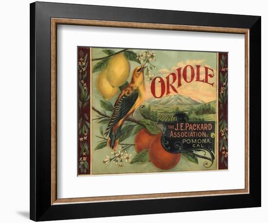 Oriole Brand - Pomona, California - Citrus Crate Label-Lantern Press-Framed Art Print