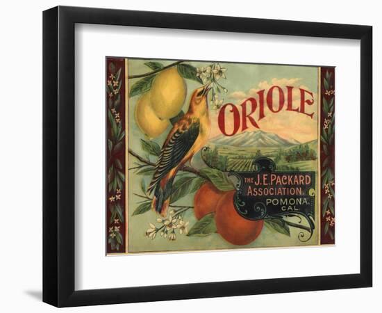 Oriole Brand - Pomona, California - Citrus Crate Label-Lantern Press-Framed Art Print