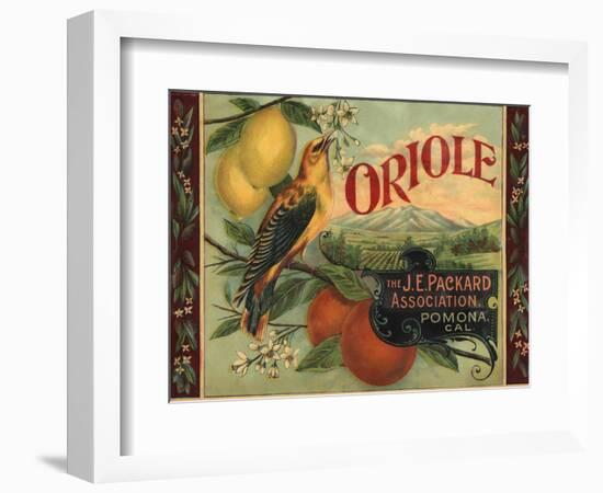 Oriole Brand - Pomona, California - Citrus Crate Label-Lantern Press-Framed Art Print