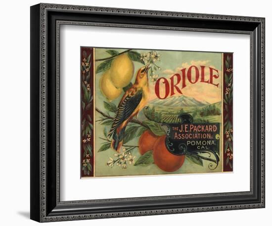 Oriole Brand - Pomona, California - Citrus Crate Label-Lantern Press-Framed Art Print