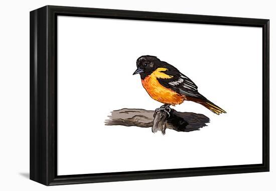 Oriole - Icon-Lantern Press-Framed Stretched Canvas