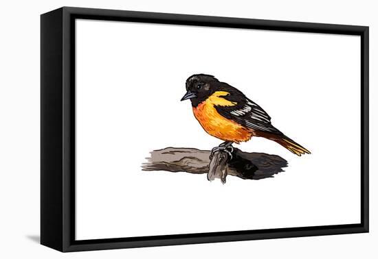 Oriole - Icon-Lantern Press-Framed Stretched Canvas