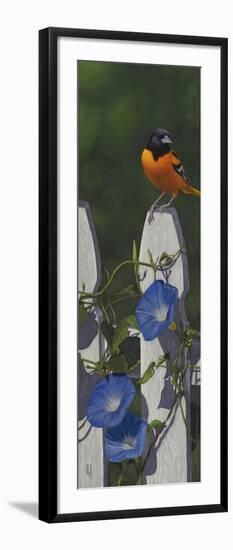 Oriole Morning Glories-Jeffrey Hoff-Framed Giclee Print