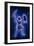 Orion Constellation-Joe Tucciarone-Framed Photographic Print