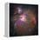 Orion Nebula (M42 And M43)-null-Framed Premier Image Canvas