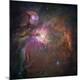 Premium Photographic Print