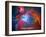 Orion Nebula Text Space Photo Poster Print-null-Framed Premium Giclee Print