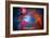 Orion Nebula Text Space Photo-null-Framed Premium Giclee Print