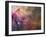 Orion Nebula-Stocktrek Images-Framed Photographic Print