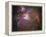 Orion Nebula-Stocktrek Images-Framed Premier Image Canvas