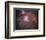 Orion Nebula-Stocktrek Images-Framed Photographic Print