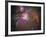 Orion Nebula-Stocktrek Images-Framed Photographic Print