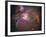 Orion Nebula-Stocktrek Images-Framed Photographic Print