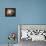 Orion Nebula-Stocktrek Images-Framed Premier Image Canvas displayed on a wall