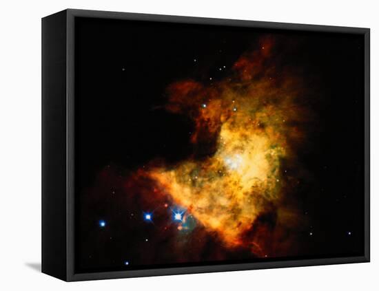 Orion Nebula-Terry Why-Framed Premier Image Canvas