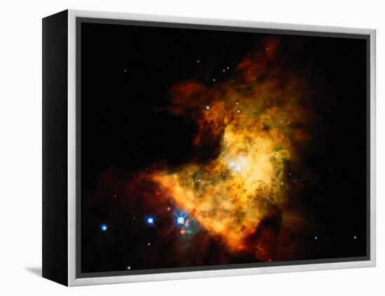 Orion Nebula-Terry Why-Framed Premier Image Canvas