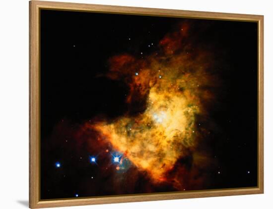 Orion Nebula-Terry Why-Framed Premier Image Canvas