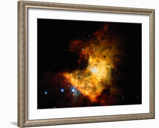 Orion Nebula-Terry Why-Framed Premium Photographic Print