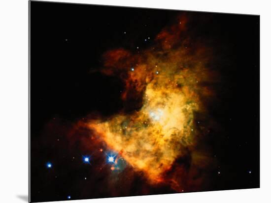 Orion Nebula-Terry Why-Mounted Premium Photographic Print